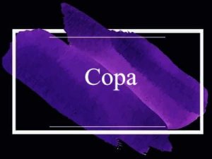 Copa - ��� ������?
