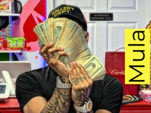 Mula   -  ?