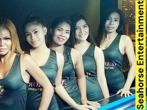Seahorse Entertainment: ���� �� ������