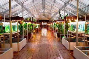 Ruean Talay Bangsaray Resort: ���� �� ������