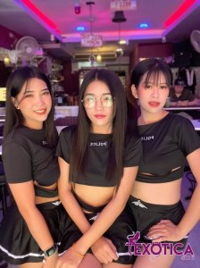Exotica Bar: ���� �� ������