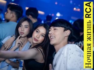 ������ ����� RCA: �����